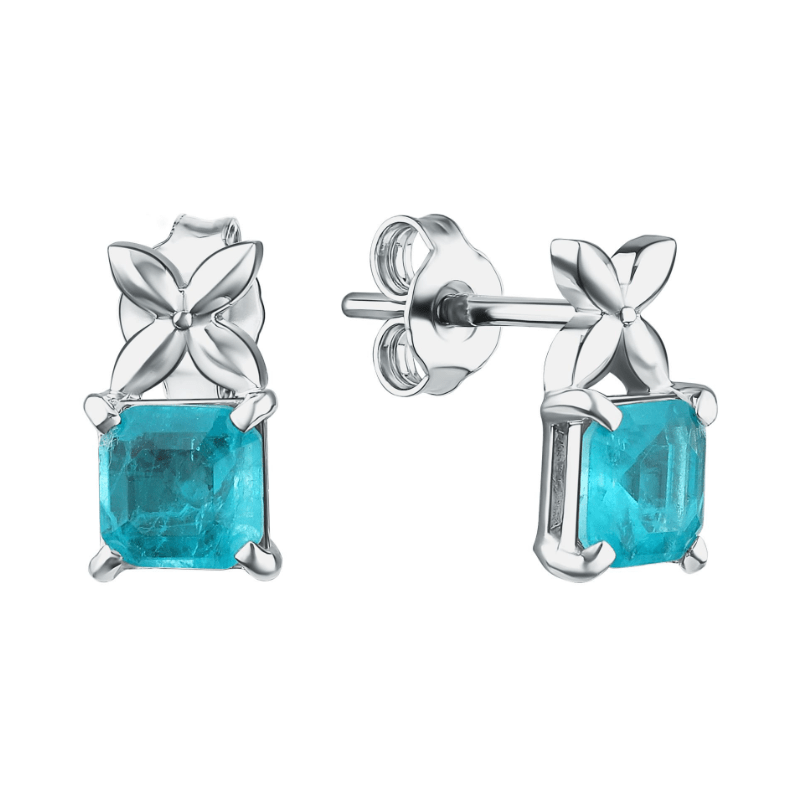 Пусеты 12-72-0П00-15370