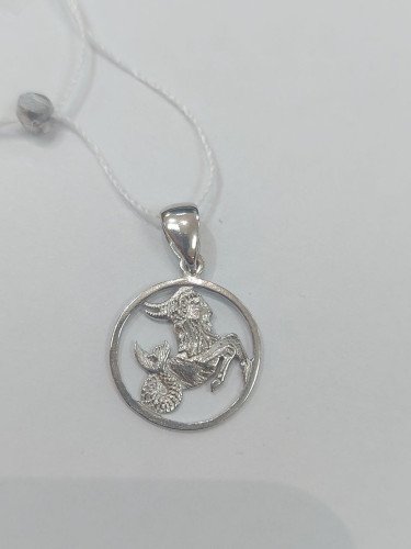 Знак зодиака