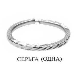 Серьга