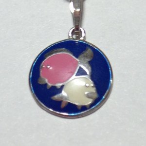 Знак зодиака