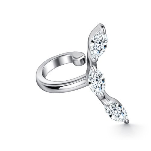 Серьга